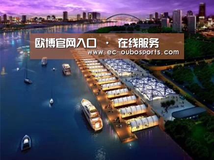 案例展示八