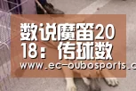 数说魔笛2018:传球数据创造历史 比肩齐祖卡恩_欧博手机版(图1) 欧博游戏