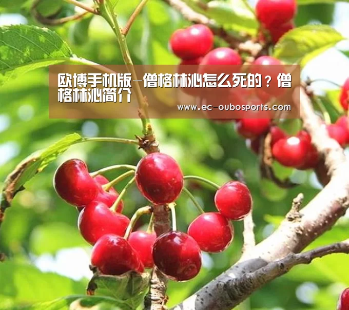 欧博手机版-僧格林沁怎么死的?僧格林沁简介(图1) 欧博手机版