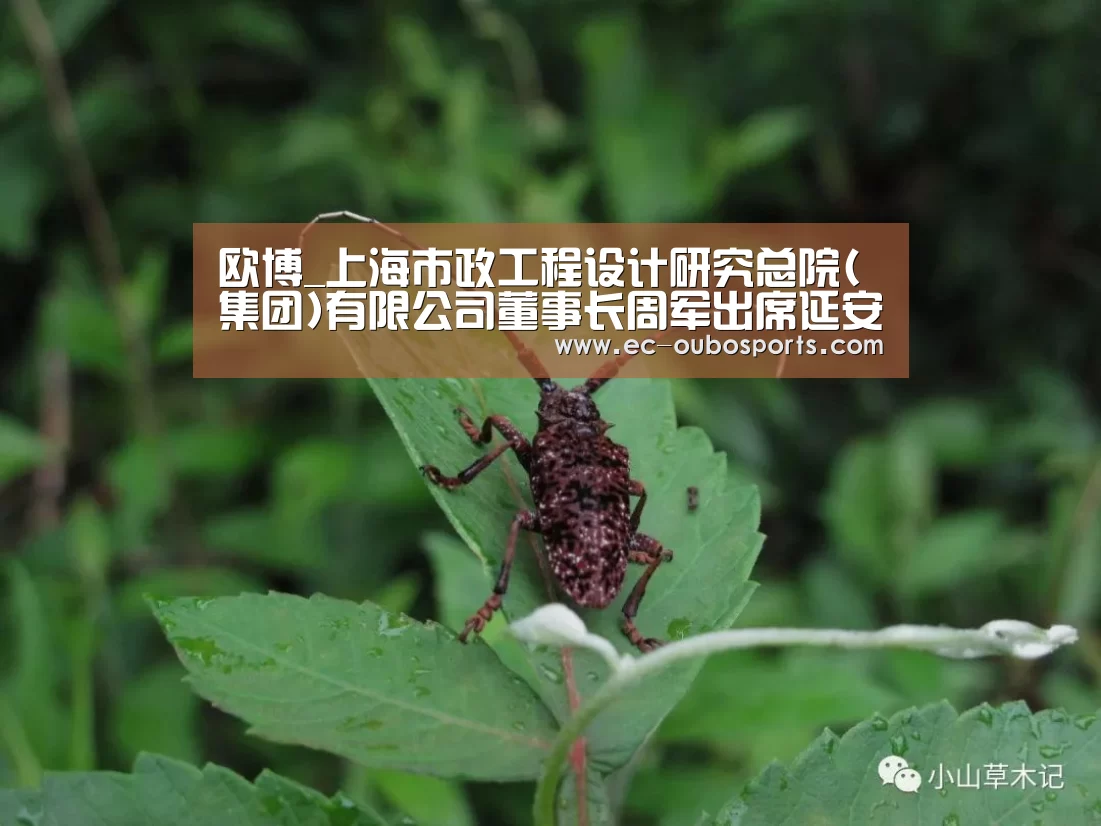欧博游戏