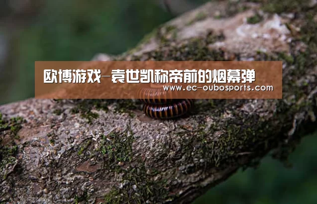 欧博