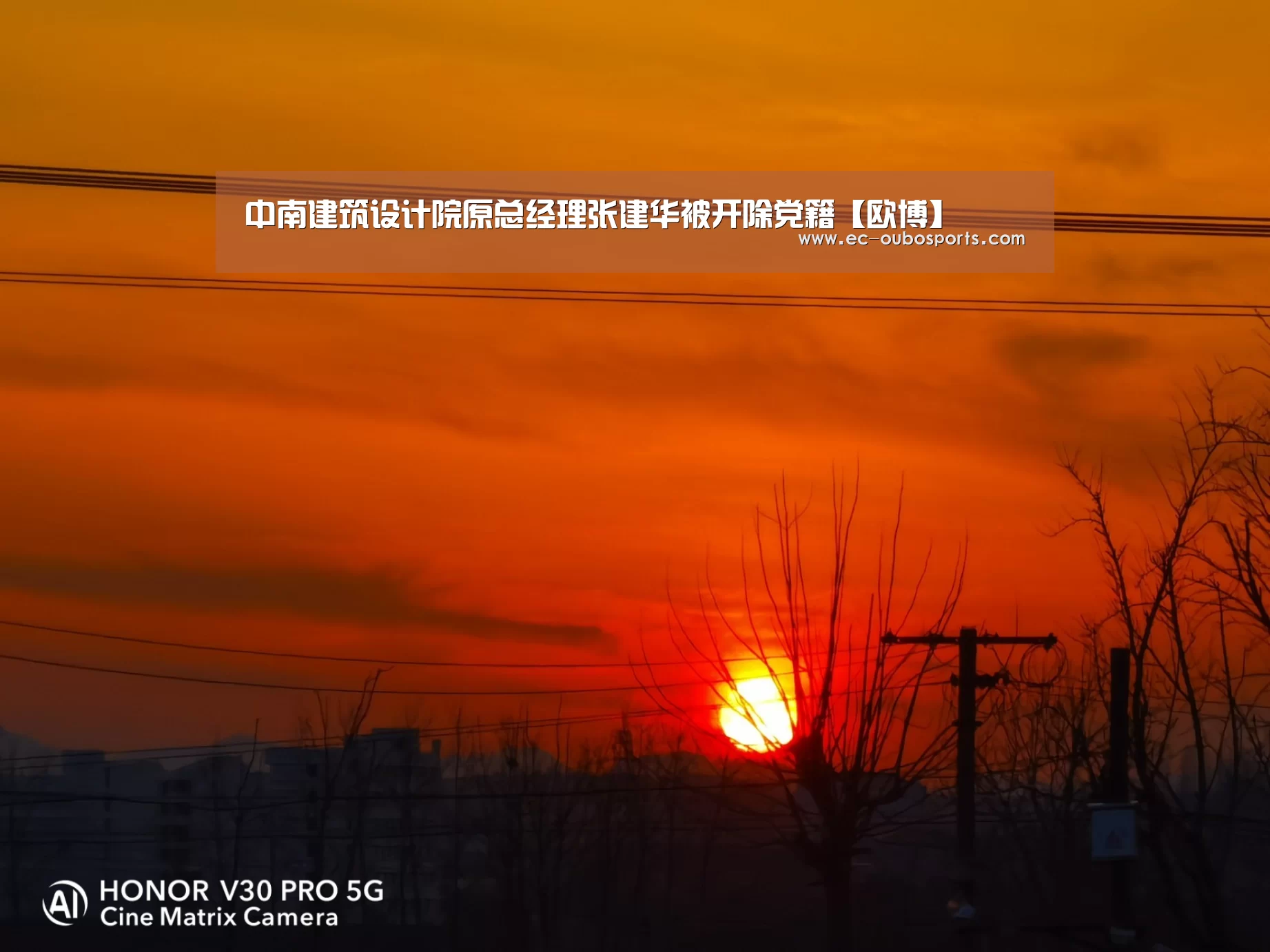 中南建筑设计院原总经理张建华被开除党籍【欧博】(图1) 欧博手机版